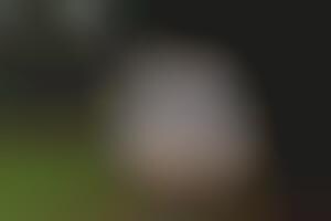 Nomadic Water Shelters : Water Shelter