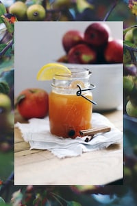 Earthy Autumn Cocktails Image 2