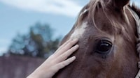 Precious Hand Commercials Image 2
