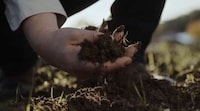 Precious Hand Commercials Image 6