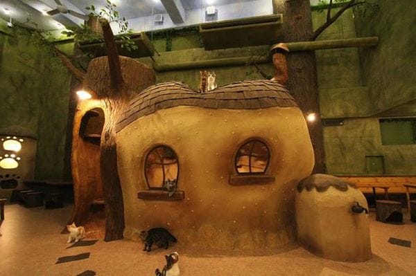 10 Eccentric Asian Cafes
