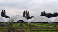 Ex-Offender Vegetable Gardens Image 2