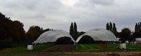 Ex-Offender Vegetable Gardens Image 5