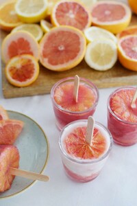 Fizzy Citrus Popsicles Image 4