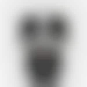 Cinematic Skeleton Dolls