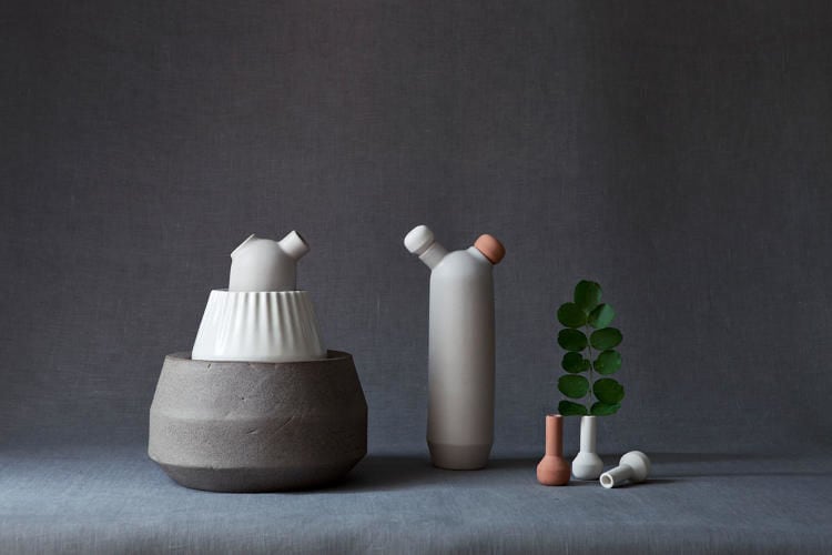 Plant Science Decor