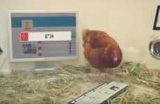 Tweeting Chicken Campaigns