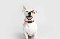 Dog Tag Pet Insurance