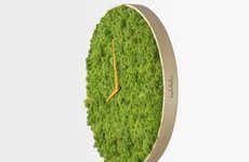 Surrealist Moss Clocks