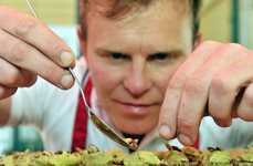 Gourmet Insect Restaurants