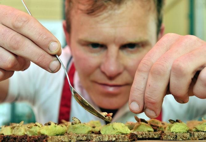 Gourmet Insect Restaurants