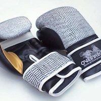 Limited-Edition Boxing Gloves Image 2