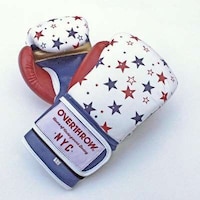 Limited-Edition Boxing Gloves Image 3
