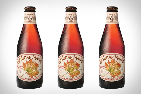 17 Festival Fall Beers
