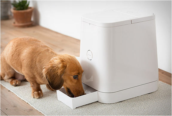 20 Smart Pet Devices