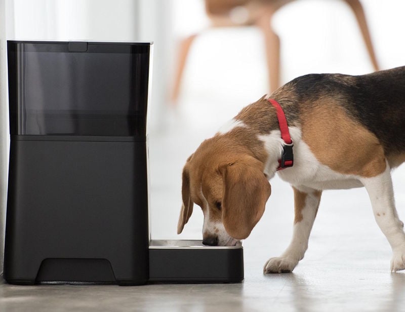 Automated Pet Feeders