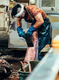 Fish Market Photography Image 5