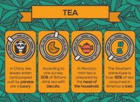 Caffeine Comparison Charts Image 2