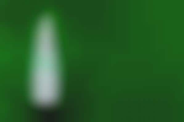 Chemical-Free Insect Repellents