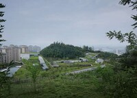 Plant-Covered Community Centers Image 4
