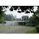 Plant-Covered Community Centers Image 6