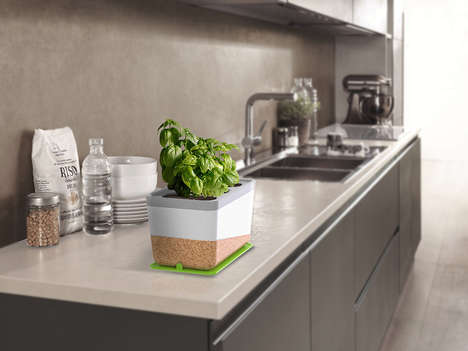 Coffee Waste Planters