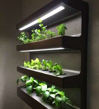 App-Assisted Educational Gardens