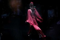 Virtual Fashion Shows Image 2