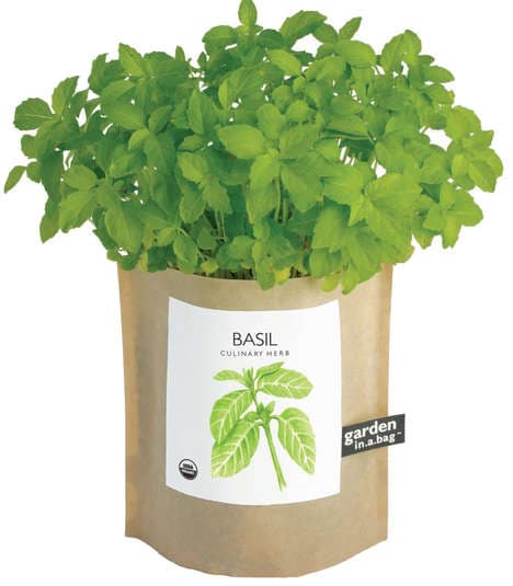 Home-Based Gardening Kits