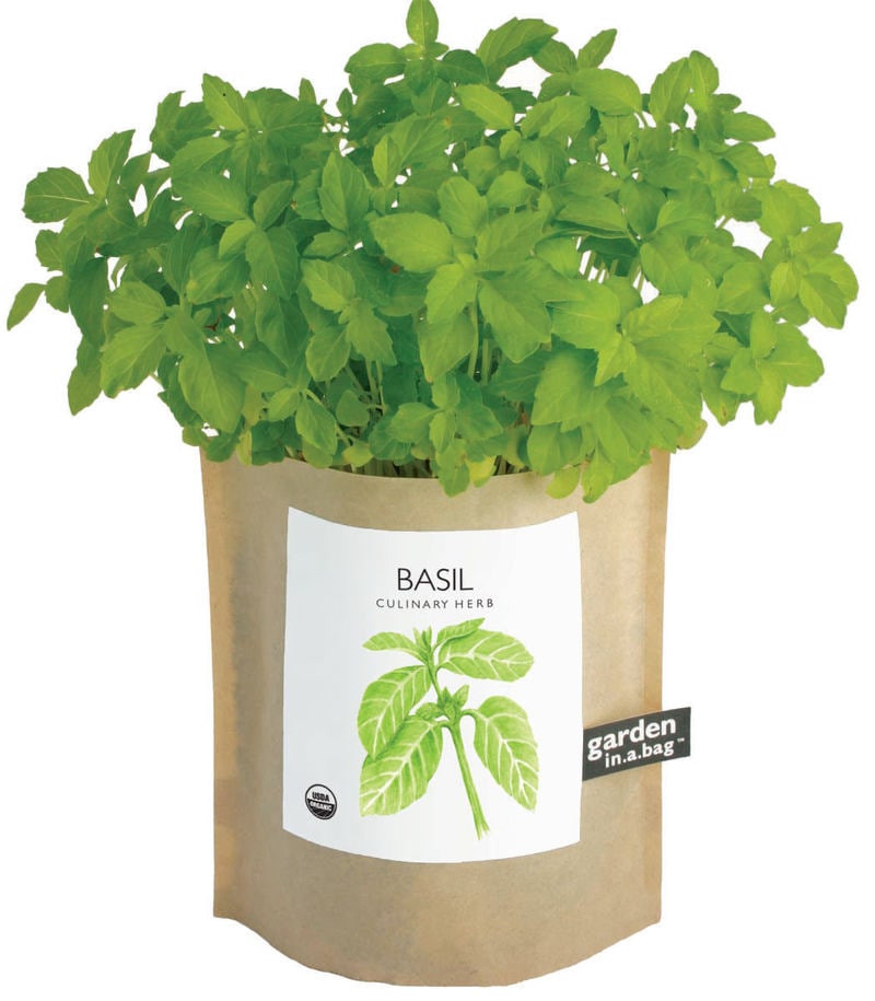 Home-Based Gardening Kits