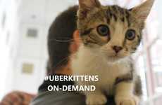 Charitable Cat Deliveries (UPDATE)