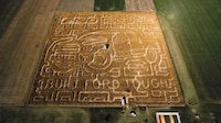 Truck Tribute Corn Mazes Image 2