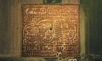 Truck Tribute Corn Mazes Image 3