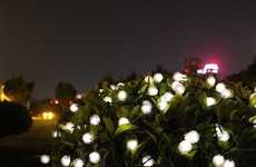 Eco-Friendly Lighting Solutions