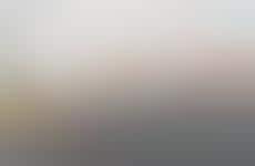 Hard Candy Cocktails