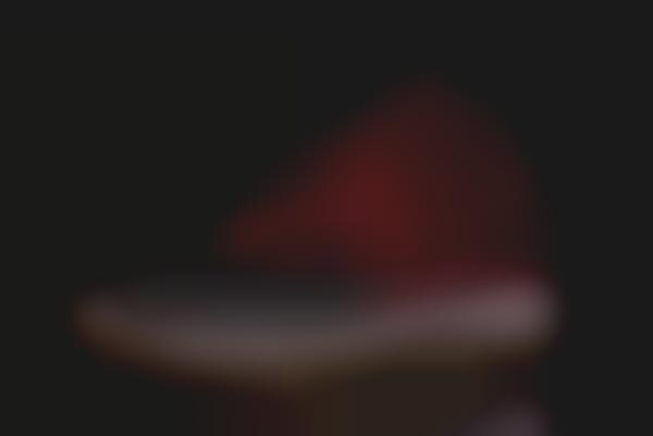 Opulent Oxblood Sneakers