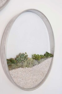 Circular Succulent Planters Image 2
