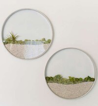 Circular Succulent Planters Image 4
