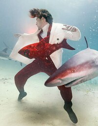 Shark Bait Menswear Editorials Image 4