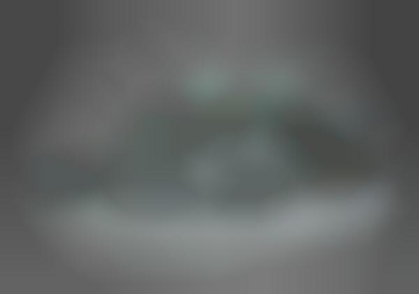 White Noise Sneakers