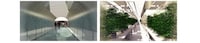 Experiential Cannabis Tours Image 5