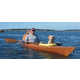 Dog-Friendly Custom Kayaks Image 5