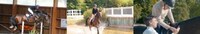 Equestrian Monitoring Gadgets Image 5