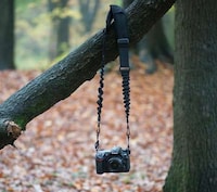 Bungee Cord Camera Straps Image 2