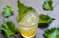 Leafy Kumquat Cocktails