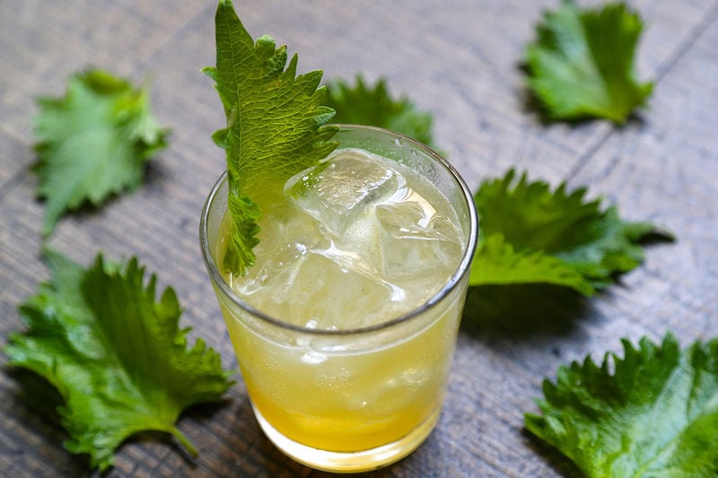 Leafy Kumquat Cocktails