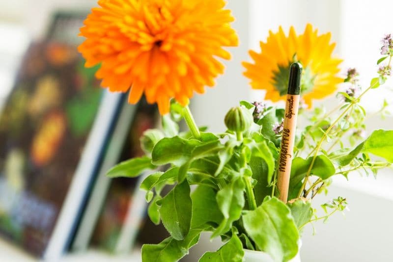 Plantable Garden Pencils