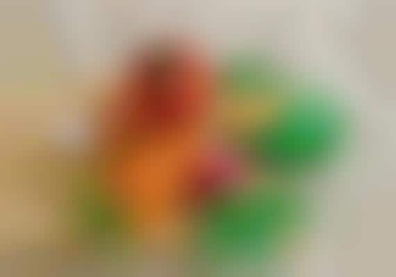 Crocheted Vegetable Toys