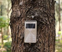 Credit Card-Sized Cellphones Image 5