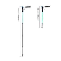 Fatigue-Deterring Walking Sticks Image 4